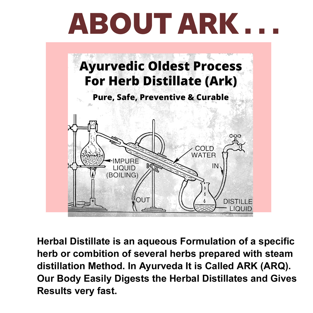 Zondoyukta Ark - Image 4