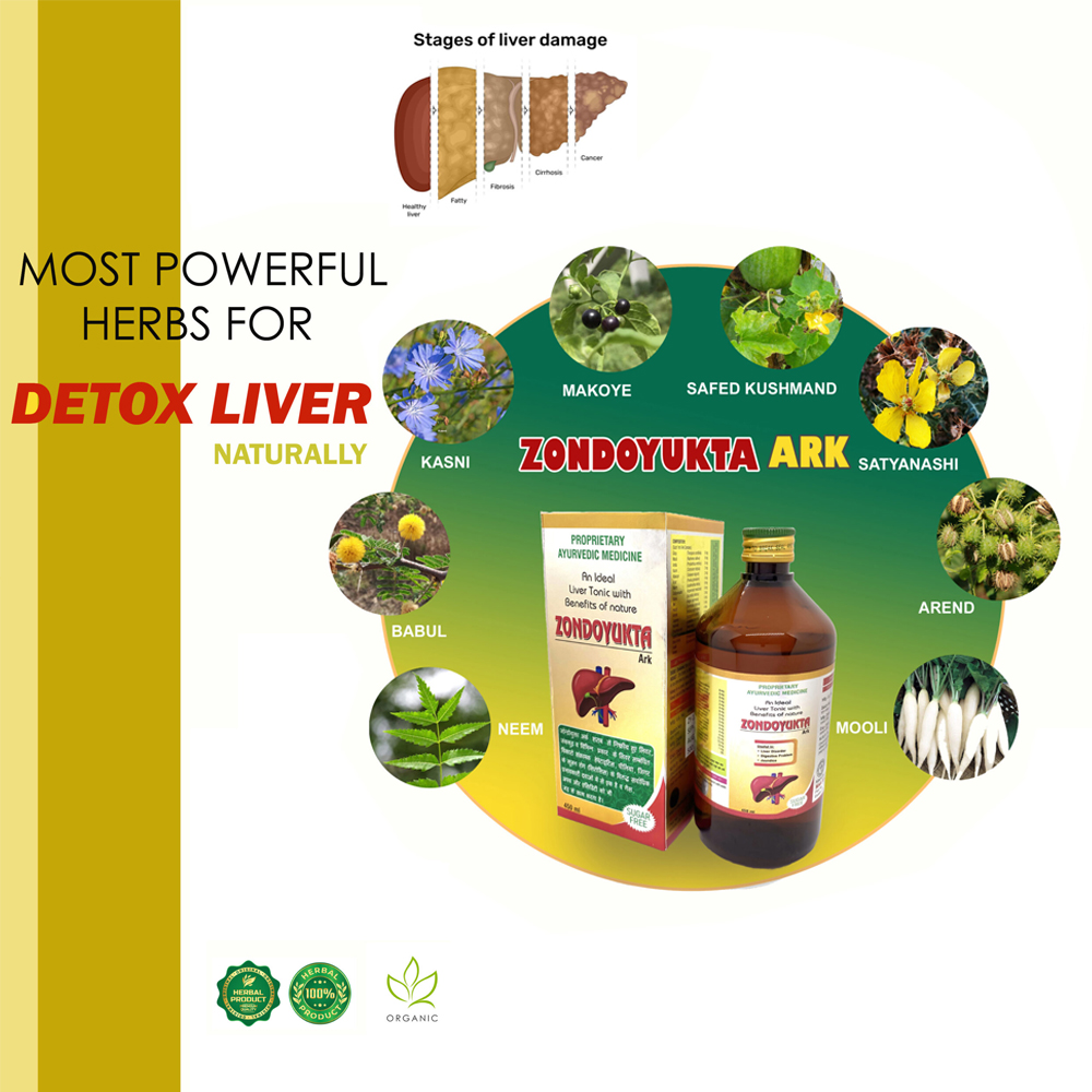 Zondoyukta Ark - Image 6