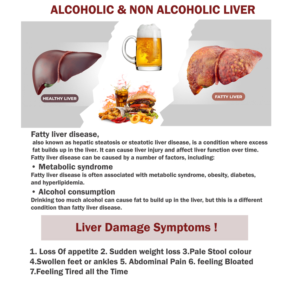 Zondoyukta Ark - Image 3