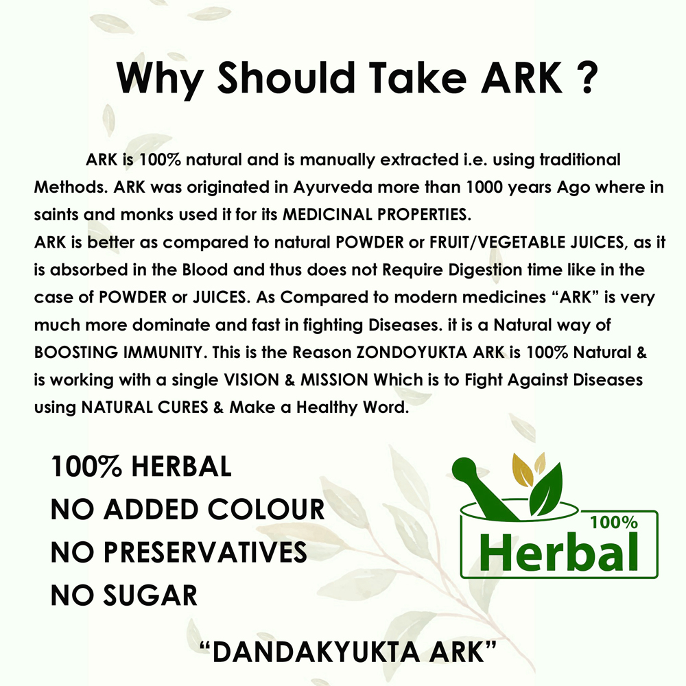 Zondoyukta Ark - Image 5